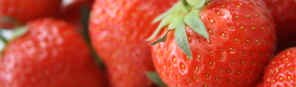 Bellis Brothers Pick Your Own